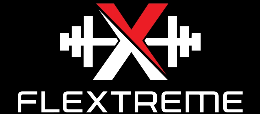 Flextreme logo